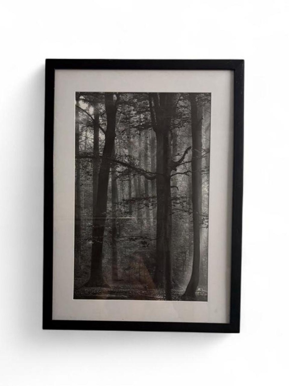 IKEA Black & White Forest Framed Wall Art Print Misty Trees Landscape 16x20